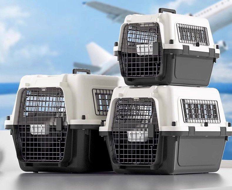 IATA CARRIER 50X33.5X34 CM